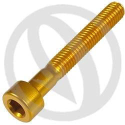 001 bolt - gold ergal 7075 T6 - M5 x 35 | Lightech