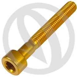 Vite 001 ergal 7075 T6 oro - M5 x 35 | Lightech