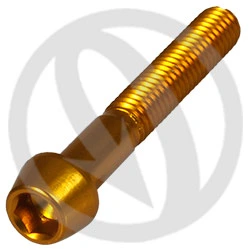 001 bolt - gold ergal 7075 T6 - M6 x 40 | Lightech