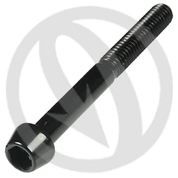 001 bolt - black ergal 7075 - M6 x 55 | Lightech