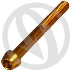 001 bolt - gold ergal 7075 T6 - M6 x 55 | Lightech
