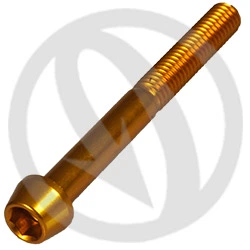 001 bolt - gold ergal 7075 - M6 x 55 | Lightech