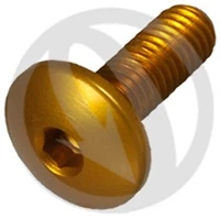 Vite 002 ergal 7075 T6 oro - M4 x 25 | Lightech