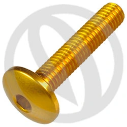 Vite 002 ergal 7075 T6 oro - M5 x 25 | Lightech