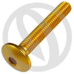 Vite 002 ergal 7075 T6 oro - M5 x 30 | Lightech