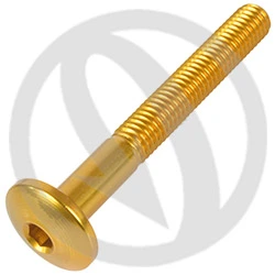 002 bolt - gold ergal 7075 - M5 x 40 | Lightech