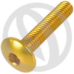 Vite 002 ergal 7075 T6 oro - M6 x 30 | Lightech