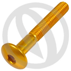 002 bolt - gold ergal 7075 T6 - M6 x 40 | Lightech