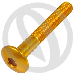 Vite 002 ergal 7075 T6 oro - M6 x 40 | Lightech