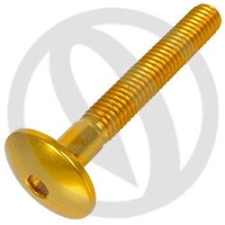 Vite 003 ergal 7075 T6 oro - M5 x 35 | Lightech