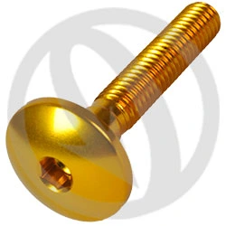 Slotted flat mushroom large head screw hexagon socket 003ORO - gold ergal 7075