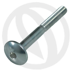 003 bolt - silver ergal 7075 T6 - M6 x 55 | Lightech