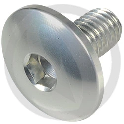 Vite 003 ergal 7075 T6 argento - M8 x 15 | Lightech