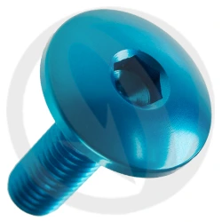 Vite 003 ergal 7075 T6 blu - M8 x 25 | Lightech