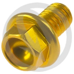 004 bolt - gold ergal 7075 - M6 x 10 | Lightech