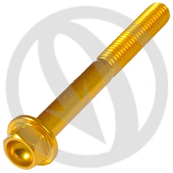 004 bolt - gold ergal 7075 T6 - M6 x 55 | Lightech