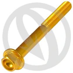 Vite 004 ergal 7075 T6 oro - M6 x 55 | Lightech