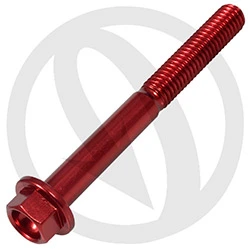 004 bolt - red ergal 7075 - M6 x 55 | Lightech