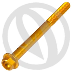 Vite 004 ergal 7075 T6 oro - M6 x 75 | Lightech