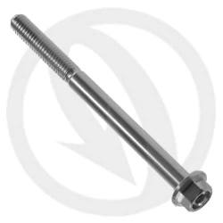 004 bolt - silver ergal 7075 - M6 x 75 | Lightech