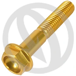 004 bolt - gold ergal 7075 - M8 x 45 | Lightech