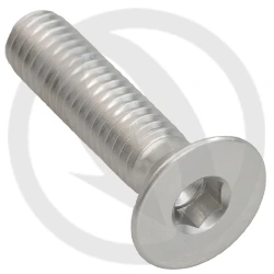 Vite 005 ergal 7075 T6 argento - M6 x 25 | Lightech