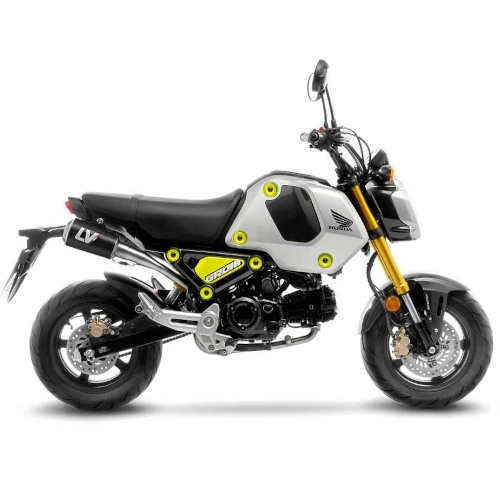 Scarico completo 1/2 LV 10 Carbon Fiber racing | LeoVince