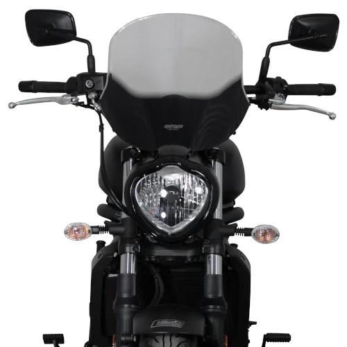 NTM touring smoke windshield | MRA