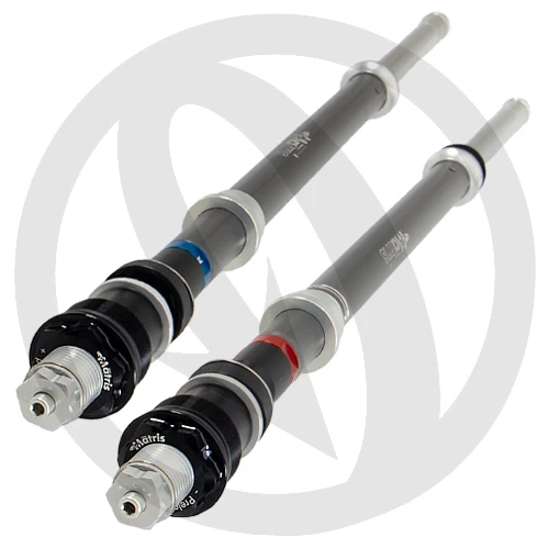 Couple of F15K cartridges for Showa fork | Matris