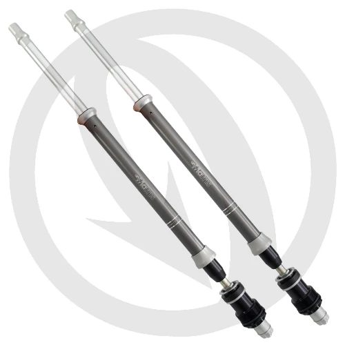 Couple of F15K cartridges for Kayaba fork | Matris