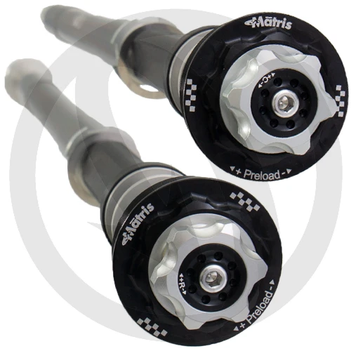 Couple of F20K fork cartridges | Matris