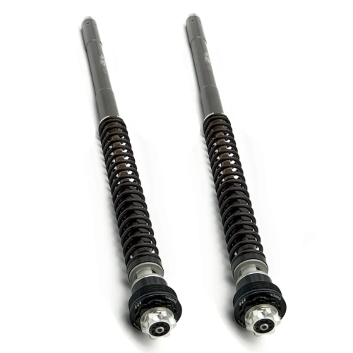 Couple of F20K cartridges for Sachs fork | Street version stroke 105 mm | Matris