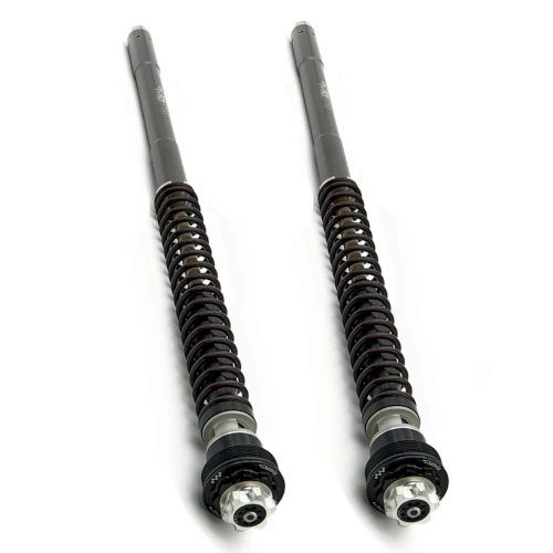Couple of F20K cartridges for fork | Matris