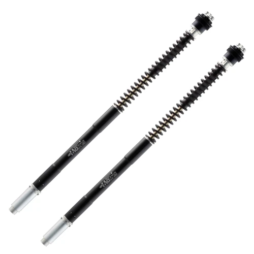 Coppia cartucce F25R per forcella | Matris
