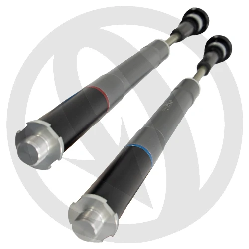 Couple of F25SA cartridges for WP fork | Matris