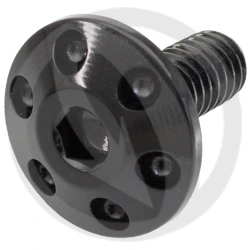 Drilled slotted flat mushroom large head screw hexagon socket FORNER - black ergal 7075