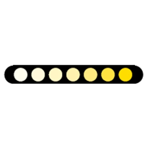 Coppia indicatori di direzione neri a led | Lightech