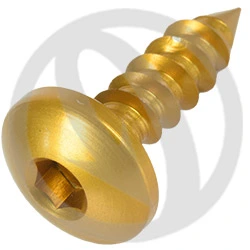 Self-threading (self-tapping) screw PAC2ORO - gold ergal 7075