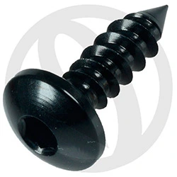 PAC2 screw - black ergal 7075 - 4.9 x 16 | Lightech