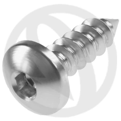 PAC2 screw - silver ergal 7075 T6 - 4.9 x 16 | Lightech