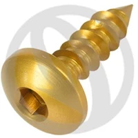PAC2 screw - gold ergal 7075 - 5.5 x 19 | Lightech