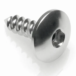 Self-threading (self-tapping) screw PAC3SIL - silver ergal 7075