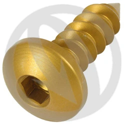 Self-threading (self-tapping) screw PAC3ORO - gold ergal 7075