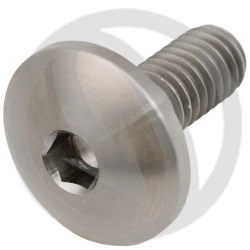T003 screw - titanium grade 5 - M6 x 15 | Lightech