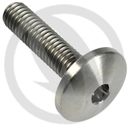 Slotted flat mushroom large head screw hexagon socket T003 - titanium grade 5