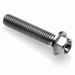 Hexagon screw with collar T004 - titanium grade 5
