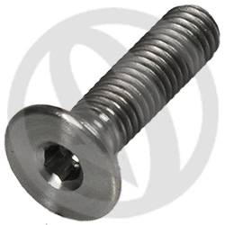 Hexagon socket countersunk flat head cap screw T005 - titanium grade 5