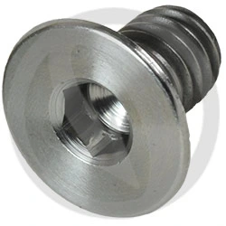 T005 screw - titanium grade 5 - M6 x 10 | Lightech